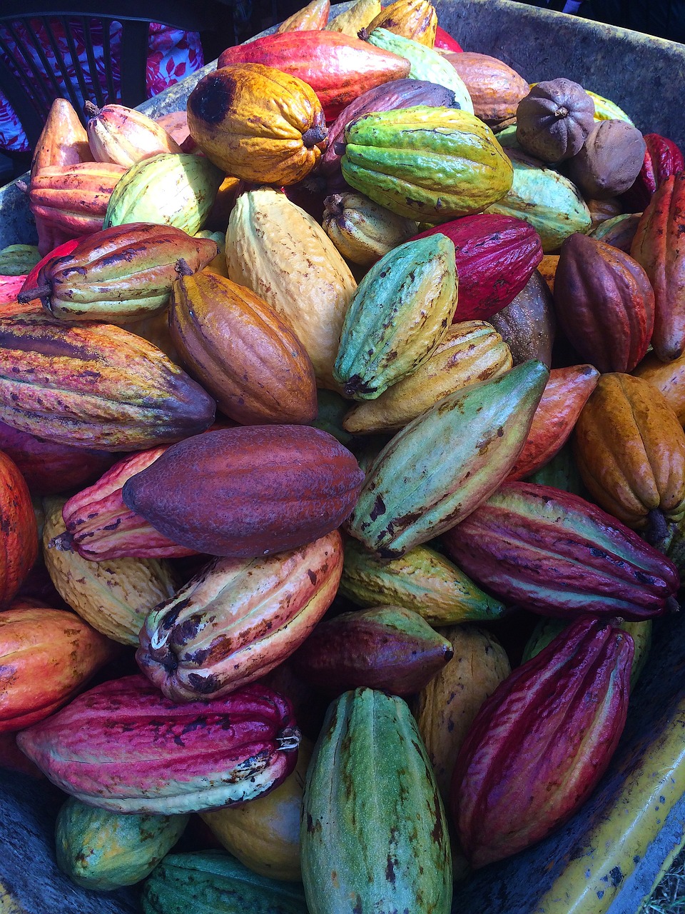 Что такое алкализованный какао-порошок: объясняет Asdecor 